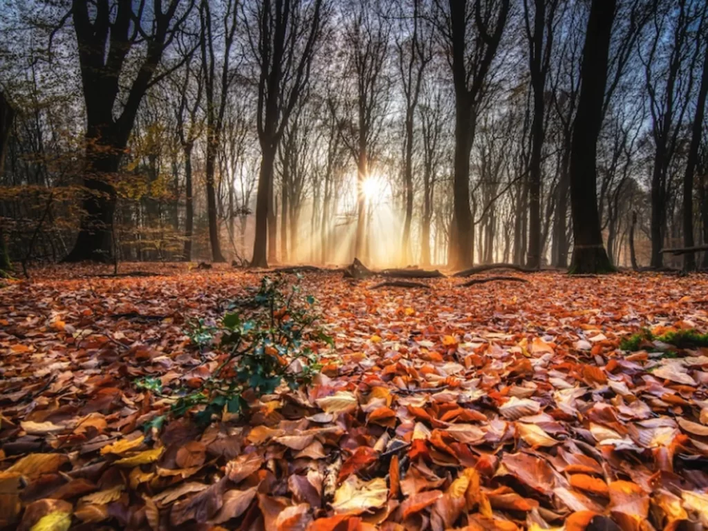 Kolmisoft MOR M4 septiembre octubre 2022